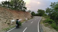 Tujuannya untuk meningkatkan angka kunjungan wisata sekaligus mendorong akses pasar dan distribusi hasil pertanian warga setempat agar lebih terbuka. 