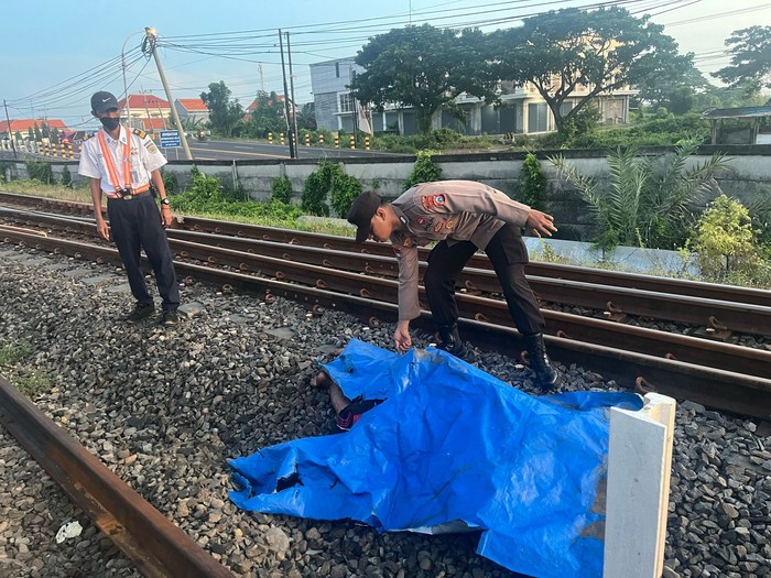 Petambak tewas tertabrak KA Pandalungan di Gresik