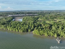 Dishut Kaltara Investigasi Dugaan Illegal Logging di Tarakan Barat