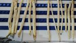 Potret Pertanian Emas Putih Asparagus di Jerman