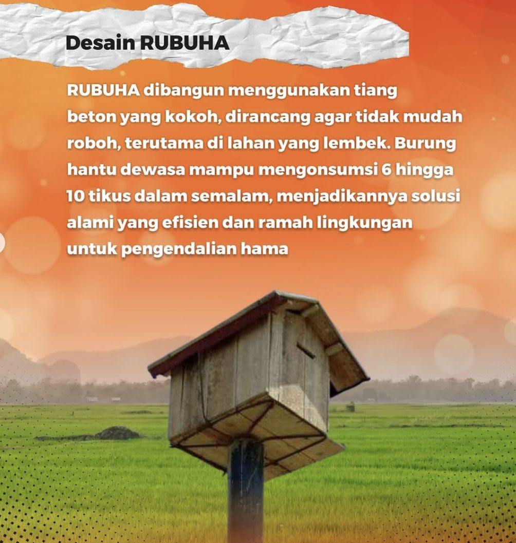 Rubuha