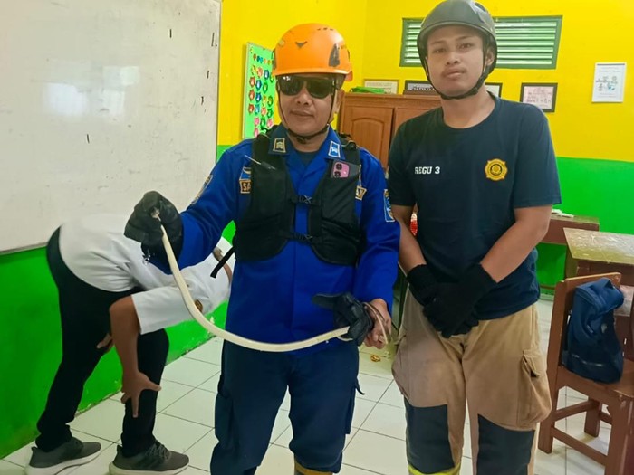 Tim Damkar menunjukkan ular yang membuat heboh siswa SD Pengadilan 2 Kota Tasikmalaya.
