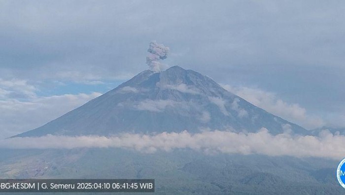 Gunung Semeru erupsi dengan letusan setinggi 700 meter di atas puncak pada Kamis (10/4/2025) pukul 06.40 WIB. (ANTARA/HO-PVMBG)