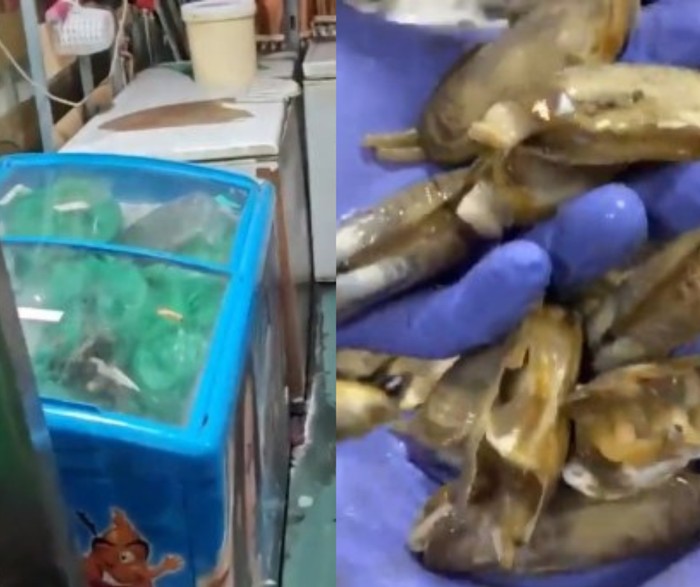 Kacau! Restoran Ini Ditutup Karena Simpan 300 Kg Daging Busuk