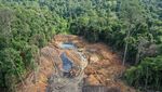 Kawasan Hutan di Samarinda Rusak Akibat Tambang Ilegal