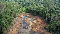 Menurut Kepala Laboratorium Alam KHDTK Diklathut Fahutan Unmul Rustam Fahmy sekitar 3,26 hektare lahan di KHDTK itu diratakan dengan alat berat.