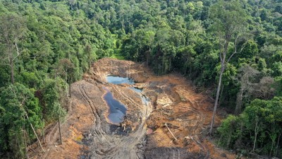 Kawasan Hutan di Samarinda Rusak Akibat Tambang Ilegal