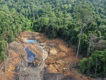 Kepala Gakkum KLHK Kalimantan Diganti, Gimana Kasus Tambang Ilegal di Unmul?