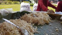 Janeng merupakan sebutan untuk suatu jenis umbi-umbian di Aceh yang dapat dimasak sebagai makanan pokok. Sayangnya janeng semakin langka sehingga masyarakat Aceh ini mulai kesulitan menemukannya. Foto: Istimewa