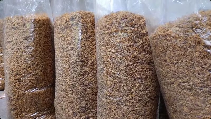 mantan sopir sukses jual makanan