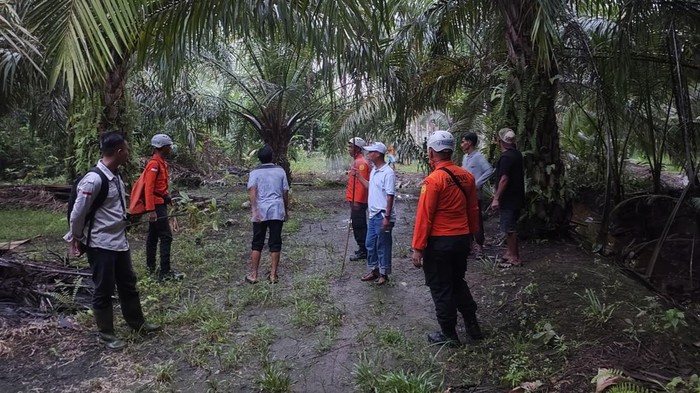 Seorang nenek bernama Nurhasiah dikabarkan hilang dari rumahnya di Dusun Ampera, Desa Rantau Panjang, Kecamatan Simpang Hilir, Kabupaten Kayong Utara, Kalimantan Barat, Rabu (9/4/2025).