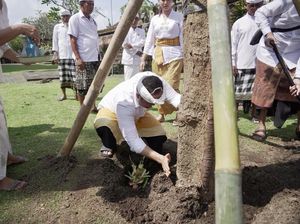 Pemkab Badung Tanam Pohon Bodhi, Lestarikan Lingkungan dan Kawasan Suci