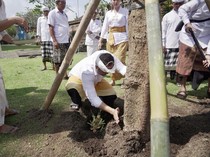 Pemkab Badung Tanam Pohon Bodhi, Lestarikan Lingkungan dan Kawasan Suci