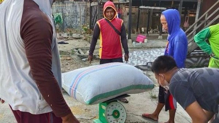 Pedagang melakukan penimbangan gabah di Pinrang, Sulawesi Selatan (Sulsel).
