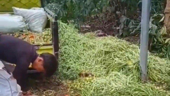 Petani di Kepahiang gelar aksi protes lantaran harga sayur anjlok.