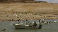 Keringnya bendungan ini membuat Meksiko tidak mungkin memenuhi komitmen airnya kepada Amerika Serikat. Berdasarkan perjanjian tahun 1944, Meksiko harus mengirim 2,16 kilometer kubik air ke AS setiap lima tahun.  