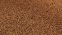 Pemandangan dari drone menunjukkan Dilan yang berusia 12 tahun berjalan di ladang kering yang biasanya digunakan untuk menanam alfalfa atau bawang di Julimes, Meksiko, 4 April 2025.  
