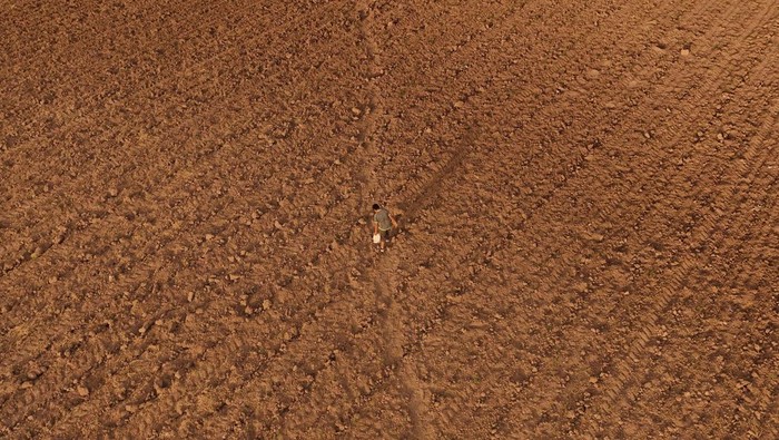 A drone view shows 12-year-old Dilan walking a dry field normally used for growing alfalfa or onions, as Mexico contends that a historic drought fueled by climate change makes it impossible to fulfil its water commitments to the United States under a 1944 treaty, in Julimes, Mexico April 4, 2025. REUTERS/Jose Luis Gonzalez