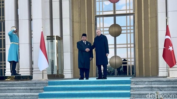 Presiden Prabowo dan Erdogan. (Firda/detikcom)