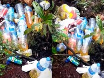 Bukit Tiong Kandang Ditutup Buntut Pendaki Buang Sampah-Langgar Norma
