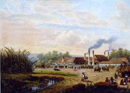 Sejarah Pabrik Gula Pangka yang Tertua di Indonesia