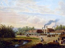 Sejarah Pabrik Gula Pangka yang Tertua di Indonesia