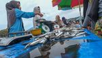 Stok Melimpah, Harga Ikan di Kendari Turun