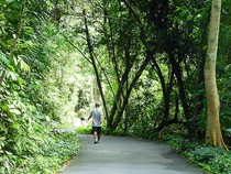 SG Penjarakan Belasan Tahun 2 Pria Pemerkosa Gadis 16 Tahun di Toilet Taman