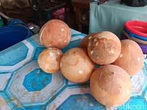 Biang Kerok Harga Kelapa Parut Naik Dua Kali Lipat