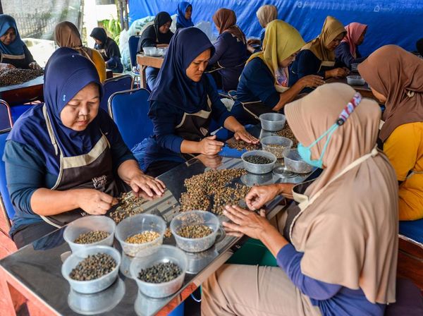 Kopi Asal Majalaya Tembus Pasar Mancanegara