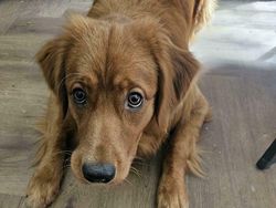 Kumpulan Foto yang Gambarkan Hari Sial Seseorang, Kasihan...