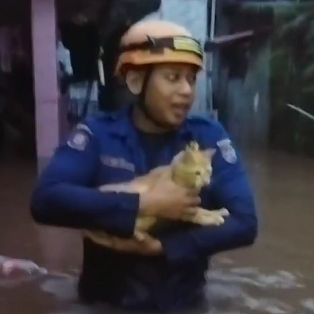 Petugas Damkar Depok evakuasi warga hingga kucing terdampak banjir (dok. Instagram Damkar Depok)