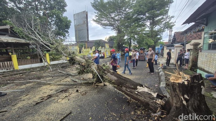 Pohon tumbang di Palabuhanratu Sukabumi.