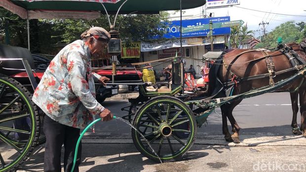Potret kusir andong membersihkan tempat parkir andong di kawasan Malioboro, Jogja, Jumat (11/4/2025).
