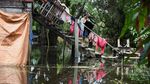Potret Perjuangan Warga Bolivia Hidup di Tengah Banjir