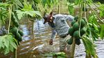 Potret Perjuangan Warga Bolivia Hidup di Tengah Banjir