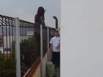 Alasan Remaja yang Coba Loncat dari Atap Mal: Kesal Ditegur Orang Tua