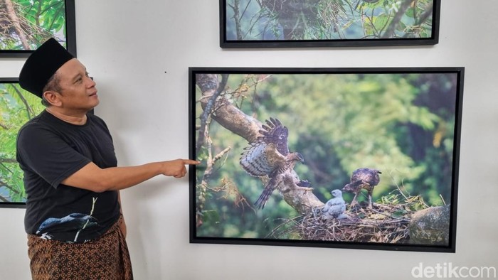 Suasana pameran tunggal Anang Batas bertajuk Nest to Meet You di Sangkring Art Space, Kasihan, Bantul, Jumat (11/4/2025).