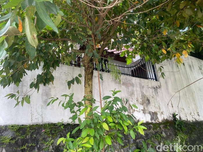 Penampakan lokasi ular sanca sepanjang 4 meter yang dievakuasi Damkar Sleman di Dusun Purwosari, Mlati, Sleman, Sabtu (12/4/2025).