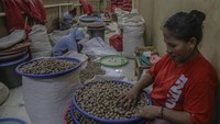 Pala kering yang sebagian untuk keperluan ekspor ke negara Asia tersebut merupakan salah satu komoditas rempah andalan Maluku Utara yang harganya mencapai Rp 120 ribu per kilogram di tingkat pengepul dan selanjutnya diolah menjadi obat-obatan dan bumbu masak.