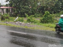 Pasutri Tewas Usai Motor Ringsek Ditabrak Truk di Yogyakarta