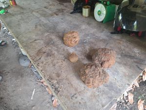 Bukan Granat, Ini Penampakan Benda yang Hebohkan Warga Babar
