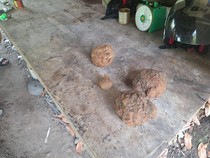 Bukan Granat, Ini Penampakan Benda yang Hebohkan Warga Babar