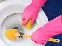 Ramai Toko Online Asal China Jual Sikat WC Karakter Donald Trump