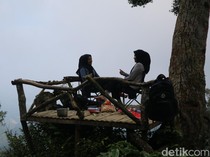 Memetik dan Menyeduh Kopi Langsung dari Kebunnya di Pegunungan Muria