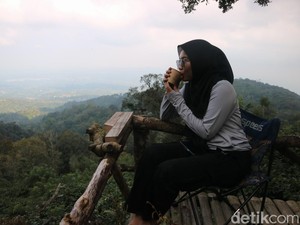 Serunya Petik dan Seduh Kopi dari Kebun Sambil Menikmati Puncak Muria