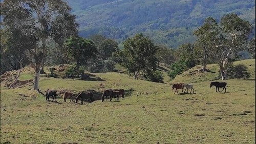 Wisata Lelogama di Kupang, NTT. (Tangkapan layar Google Earth Wishnu E. W)