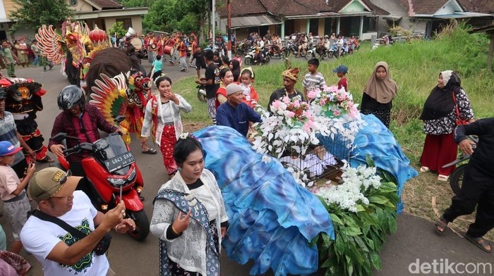3 kucing di Banyuwangi ulang tahun