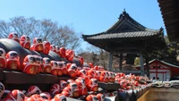 Di Kuil Katsuo-ji, boneka Daruma mengawasi dari setiap sudut. Mereka mengintip di antara cabang-cabang pohon, bergerombol di sekitar altar, dan menghiasi jalan setapak yang berkelok-kelok, ada kilatan warna merah terang di antara hutan lereng bukit.