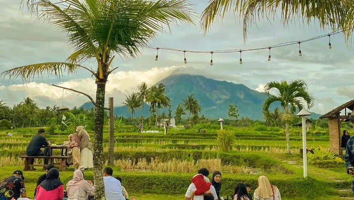 Syahdu! 5 Coffee Shop di Jogja yang Punya View Hamparan Sawah